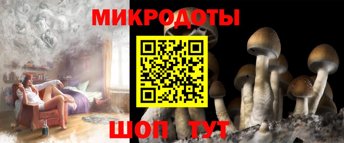 Галлюциногенные грибы Psilocybine cubensis  Вход с VPN  Вольск 